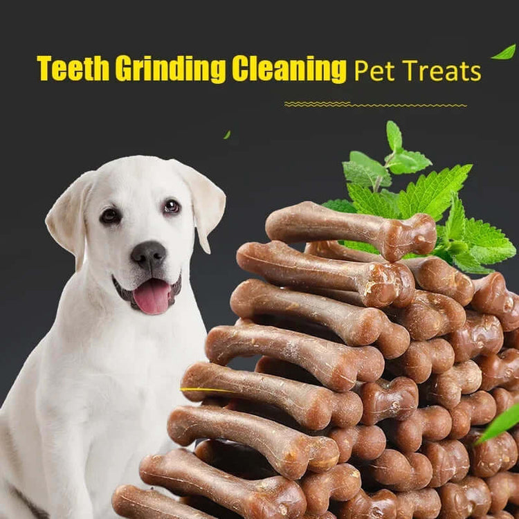 New Dog Snacks Teething Sticks 28G Teeth Cleansing Bone Fresh Ingredients Flavorful Nutritious Healthy Pet Puppy Snacks Foods