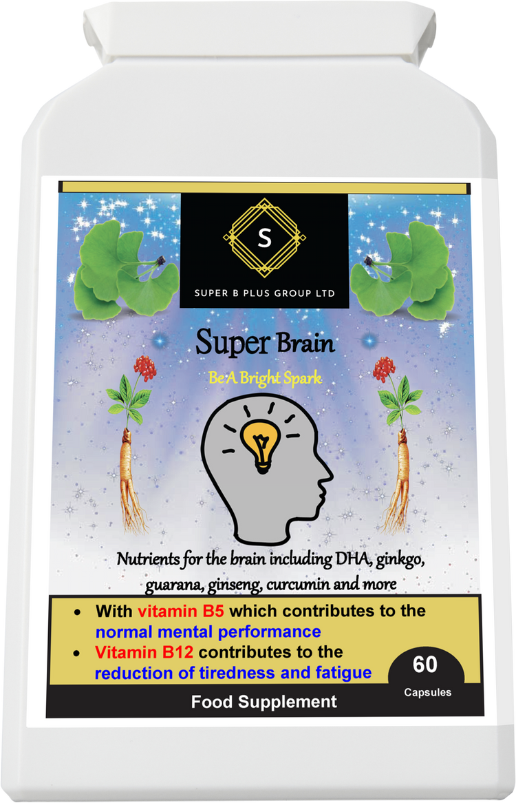 Super Brain-4