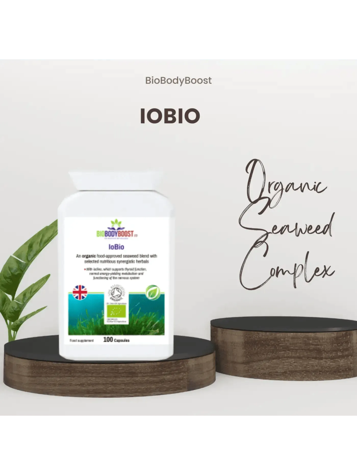 BioBodyBoost Plant-Based Travel Supplements Bundle-1