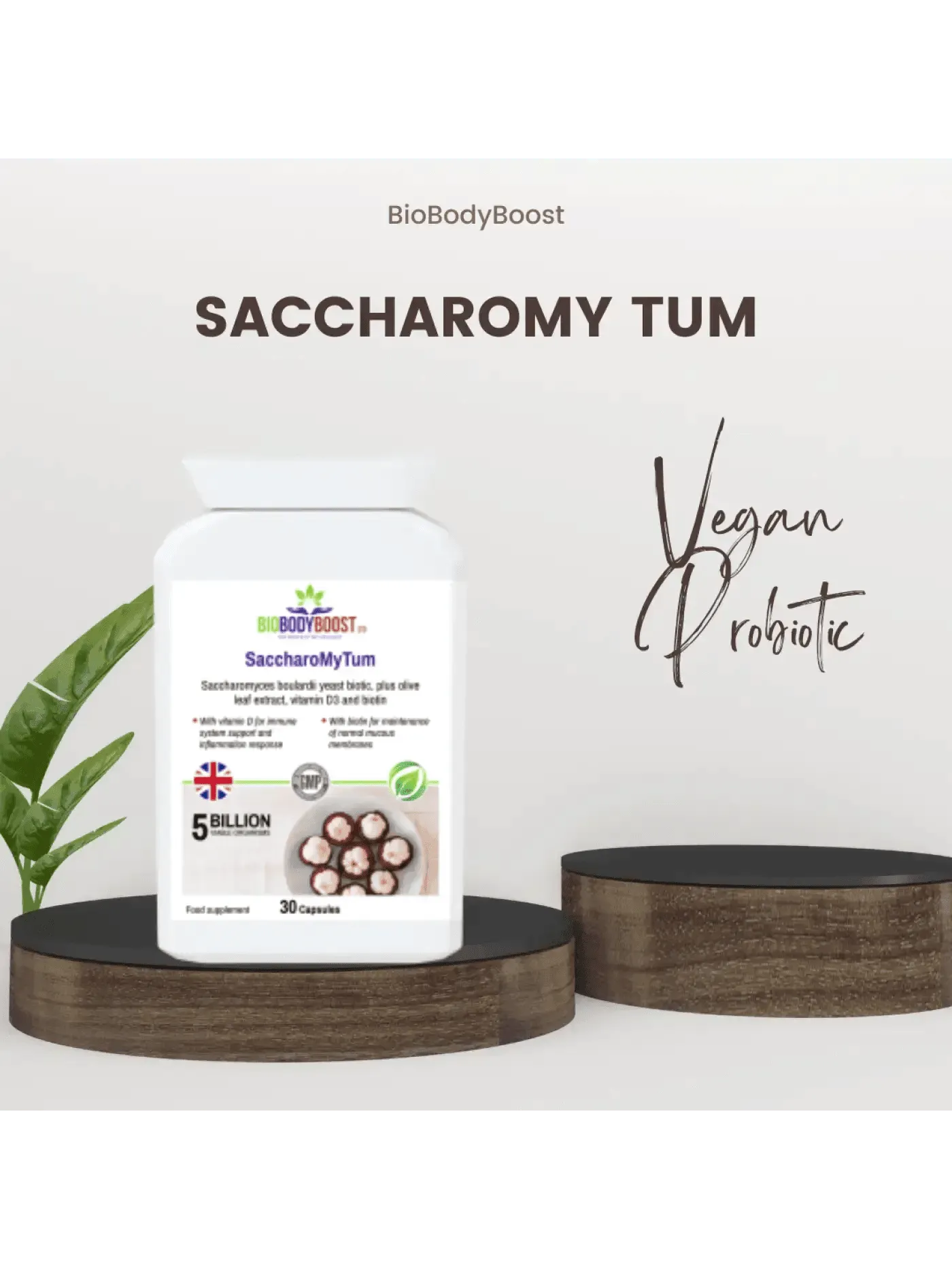 BioBodyBoost Plant-Based Travel Supplements Bundle-3